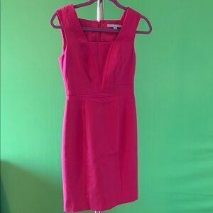 Banana Republic Vibrant Pink Mini Dress